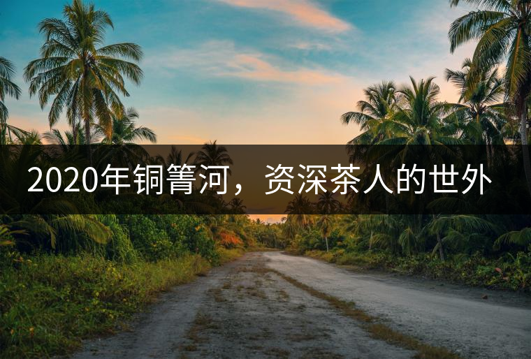 2020年銅箐河，資深茶人的世外桃源-易武-易武中聘號(hào)