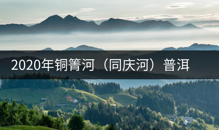 2020年銅箐河（同慶河）普洱茶，野味真難尋！-易武中聘號(hào)