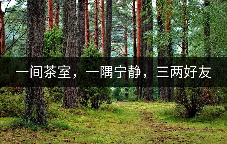 一間茶室，一隅寧靜，三兩好友