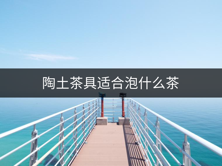 陶土茶具適合泡什么茶