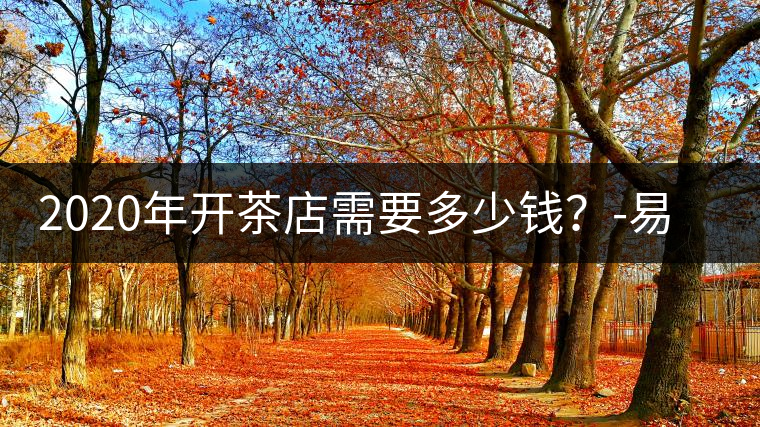2020年開茶店需要多少錢？-易武中聘號