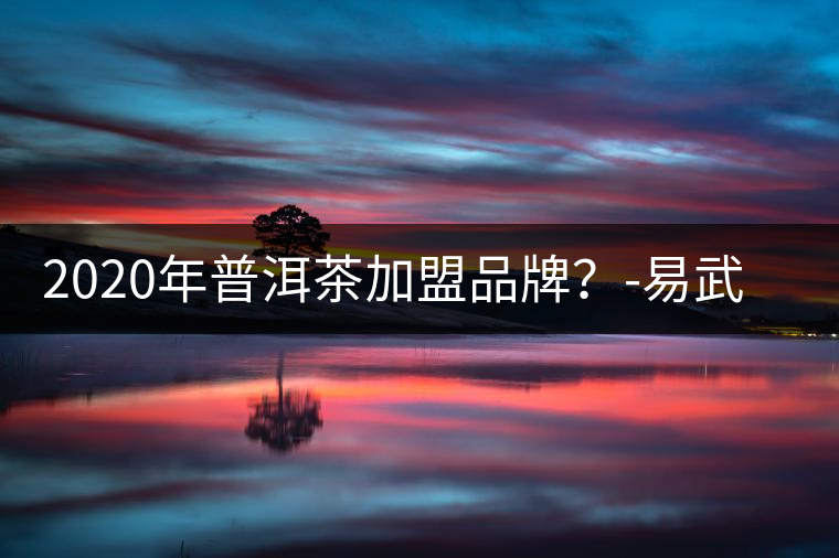 2020年普洱茶加盟品牌？-易武中聘號