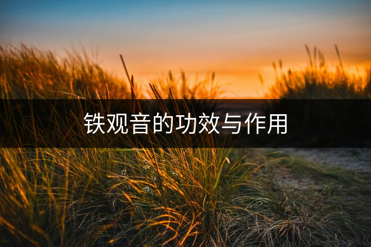 鐵觀音的功效與作用 鐵觀音的功效與作用