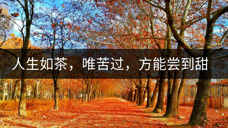 人生如茶，唯苦過，方能嘗到甜滋味