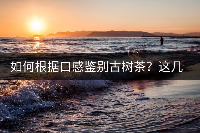 如何根據(jù)口感鑒別古樹茶？這幾個技巧值得收藏