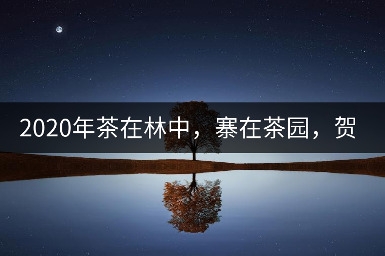 2020年茶在林中，寨在茶園，賀開古樹茶-易武中聘號