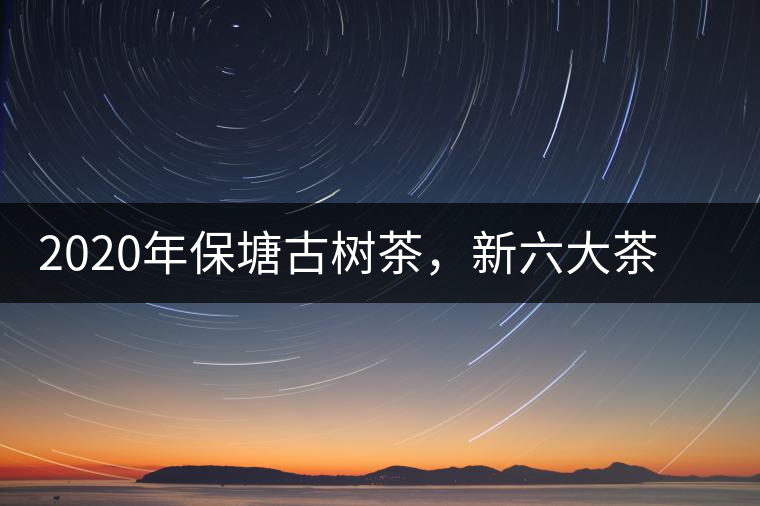2020年保塘古樹茶，新六大茶山之勐宋茶佼佼者-易武中聘號