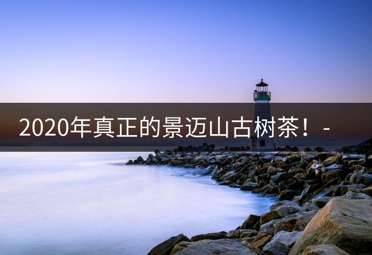 2020年真正的景邁山古樹茶！-易武中聘號(hào)