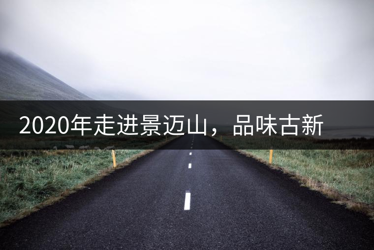 2020年走進(jìn)景邁山，品味古新六大茶山古樹茶之韻-易武中聘號(hào)