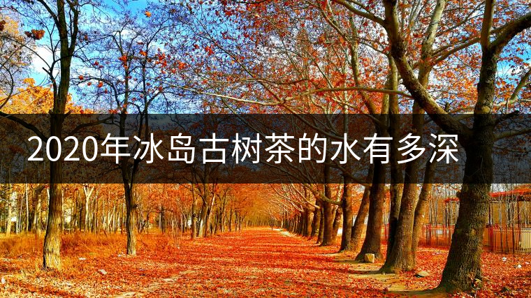 2020年冰島古樹茶的水有多深？別被蒙在鼓里啦-易武中聘號