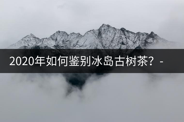 2020年如何鑒別冰島古樹茶？-易武中聘號