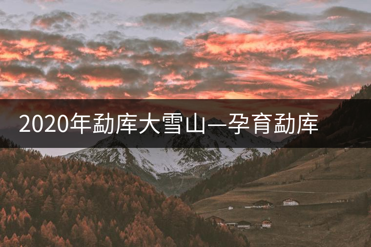 2020年勐庫大雪山—孕育勐庫大葉種英豪的搖籃-易武中聘號 2020年勐庫大雪山—孕育勐庫大葉種英豪的搖籃-易武中聘號