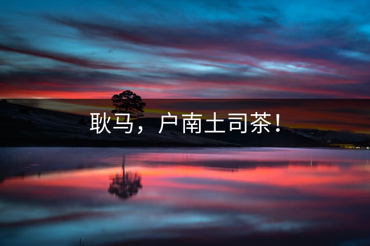 耿馬，戶南土司茶！