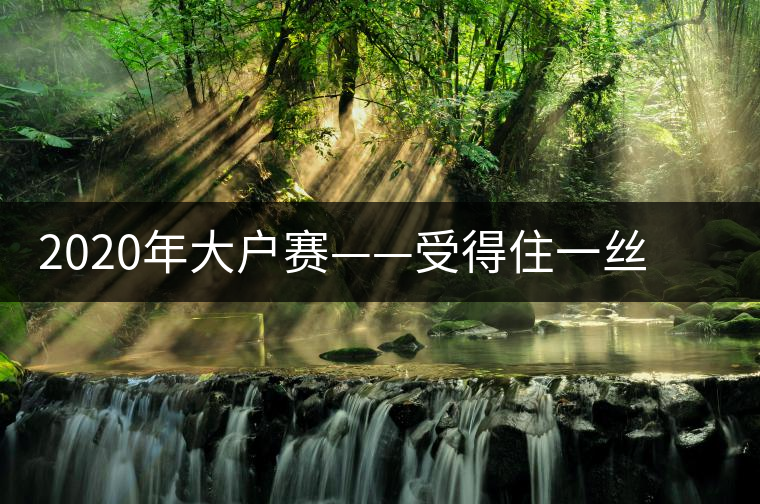 2020年大戶賽——受得住一絲苦，才能盡享一口甜-易武中聘號