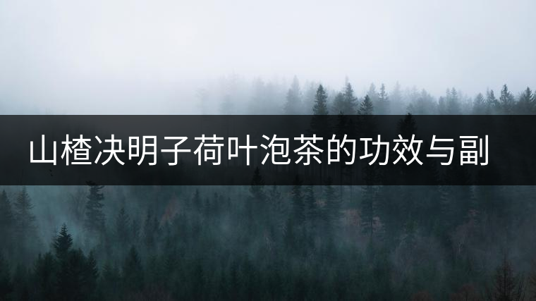山楂決明子荷葉泡茶的功效與副作用 山楂決明子荷葉泡茶的功效與副作用
