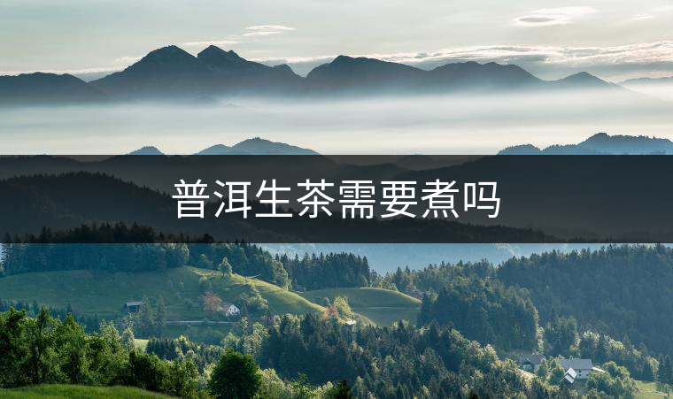 普洱生茶需要煮嗎 普洱生茶需要煮嗎