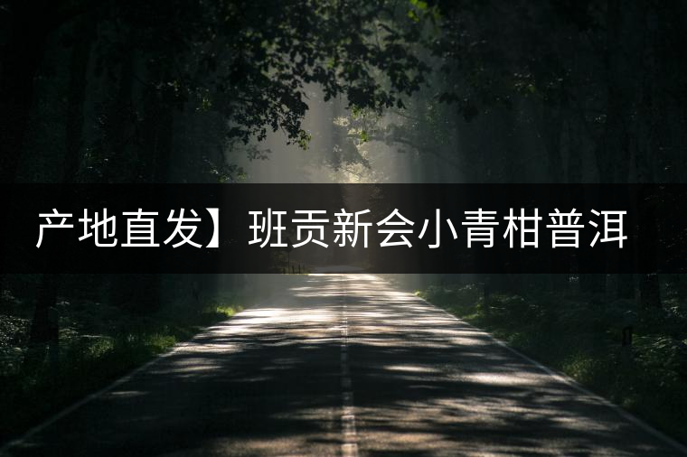 產地直發(fā)】班貢新會小青柑普洱茶柑普茶陳皮熟茶茶葉桔橘宮廷特級 產地直發(fā)】班貢新會小青柑普洱茶柑普茶陳皮熟茶茶葉桔橘宮廷特級