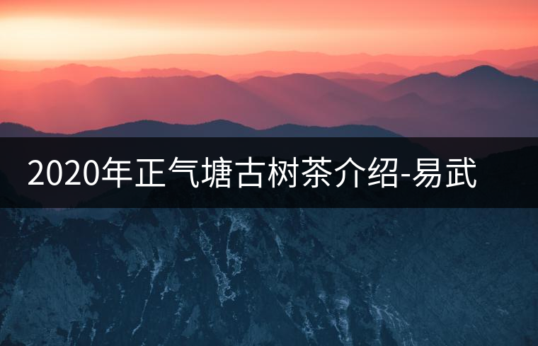 2020年正氣塘古樹茶介紹-易武中聘號 2020年正氣塘古樹茶介紹-易武中聘號