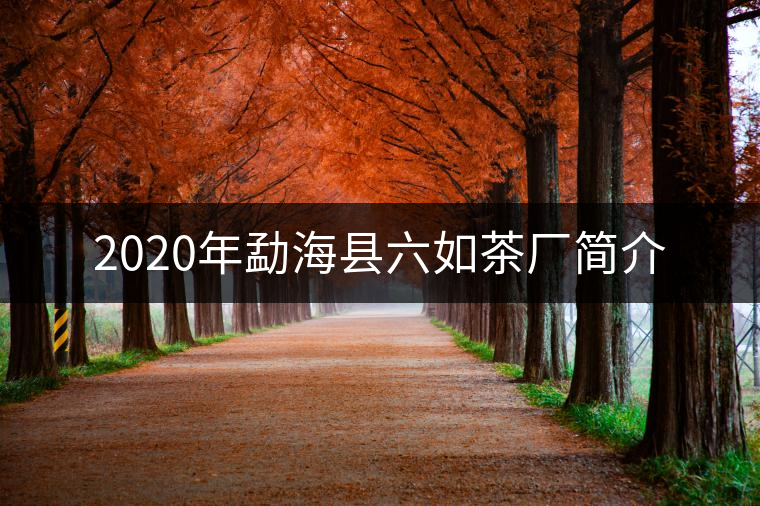 2020年勐海縣六如茶廠簡介 2020年勐??h六如茶廠簡介