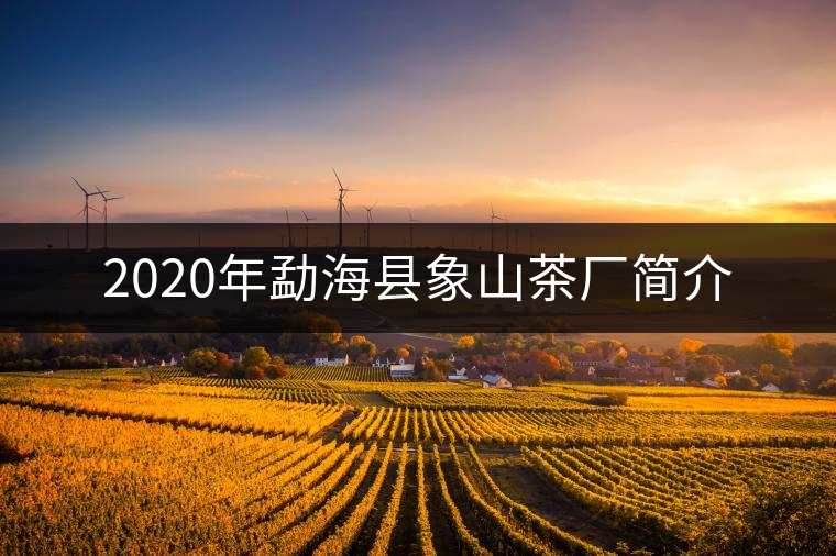 2020年勐海縣象山茶廠簡(jiǎn)介