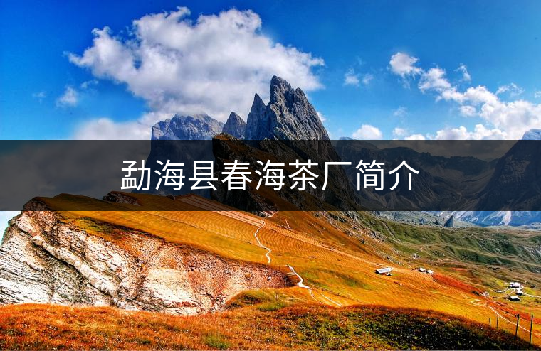勐?？h春海茶廠簡介