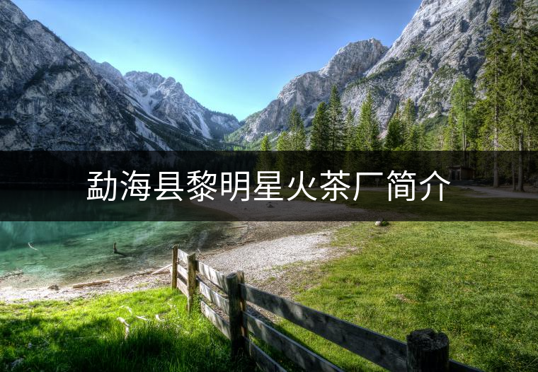 勐??h黎明星火茶廠簡(jiǎn)介 勐海縣黎明星火茶廠簡(jiǎn)介