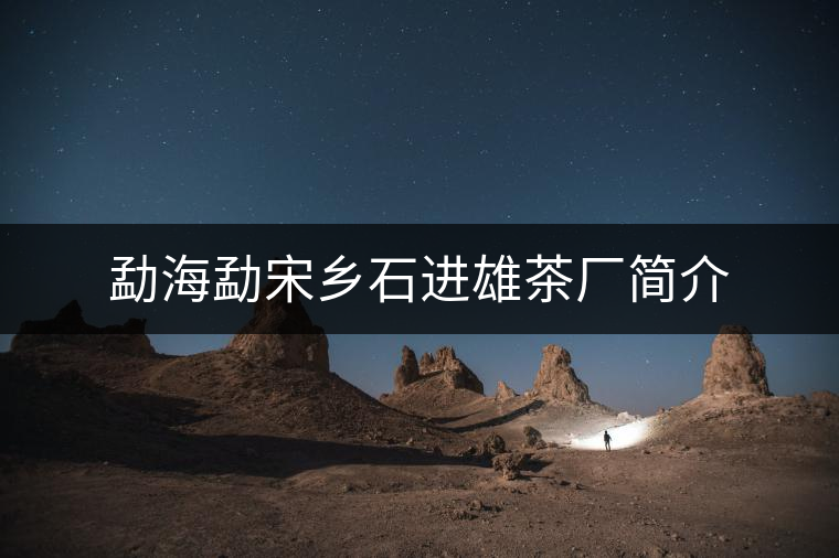 勐海勐宋鄉(xiāng)石進(jìn)雄茶廠簡介