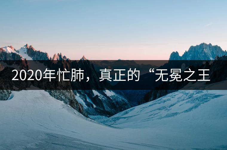 2020年忙肺，真正的“無冕之王”！-易武中聘號(hào)