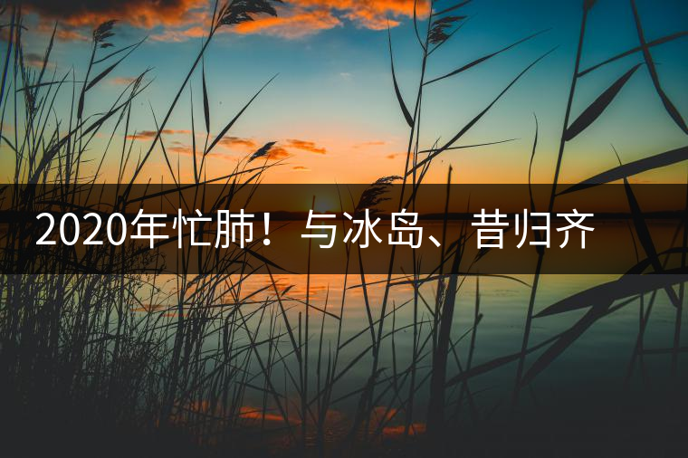 2020年忙肺！與冰島、昔歸齊名的普洱茶，到底是什么味道？-易武中聘號