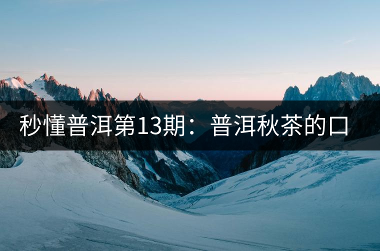 秒懂普洱第13期：普洱秋茶的口感特點(diǎn)？