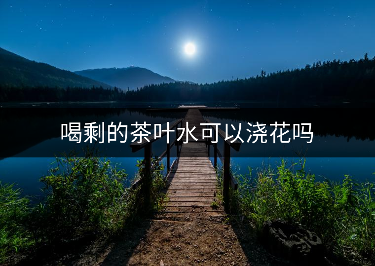 喝剩的茶葉水可以澆花嗎 喝剩的茶葉水可以澆花嗎