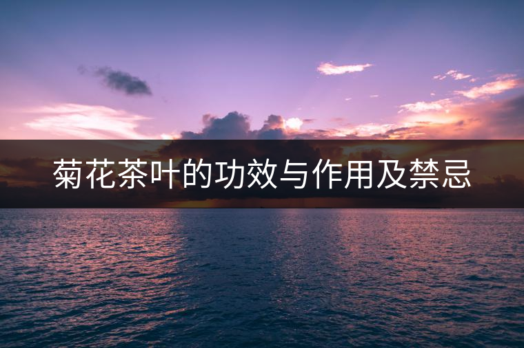 菊花茶葉的功效與作用及禁忌
