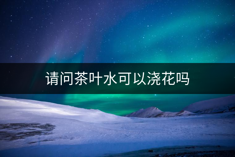 請問茶葉水可以澆花嗎