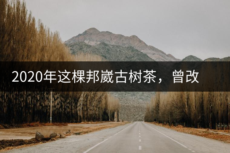 2020年這棵邦崴古樹茶，曾改寫普洱茶歷史！-易武中聘號