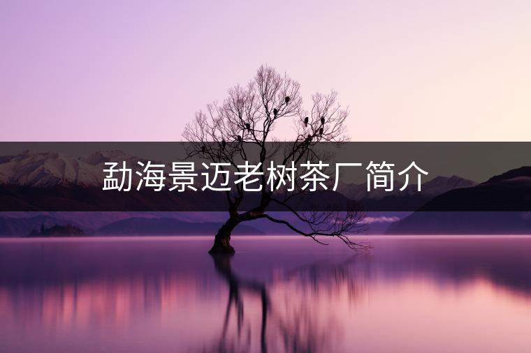 勐海景邁老樹(shù)茶廠簡(jiǎn)介 勐海景邁老樹(shù)茶廠簡(jiǎn)介