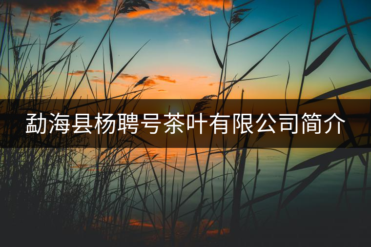 勐海縣楊聘號(hào)茶葉有限公司簡(jiǎn)介 勐海縣楊聘號(hào)茶葉有限公司簡(jiǎn)介