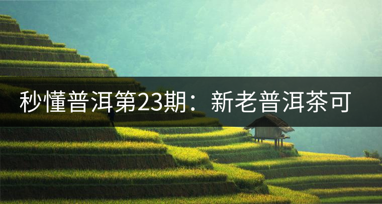 秒懂普洱第23期:新老普洱茶可以放到一起嗎? 秒懂普洱第23期:新老普洱茶可以放到一起嗎?