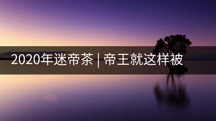 2020年迷帝茶 | 帝王就這樣被迷住了？-易武中聘號