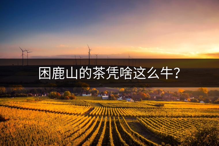 困鹿山的茶憑啥這么牛？