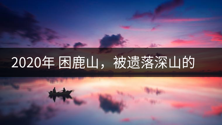 2020年 困鹿山，被遺落深山的皇家古茶園-易武中聘號
