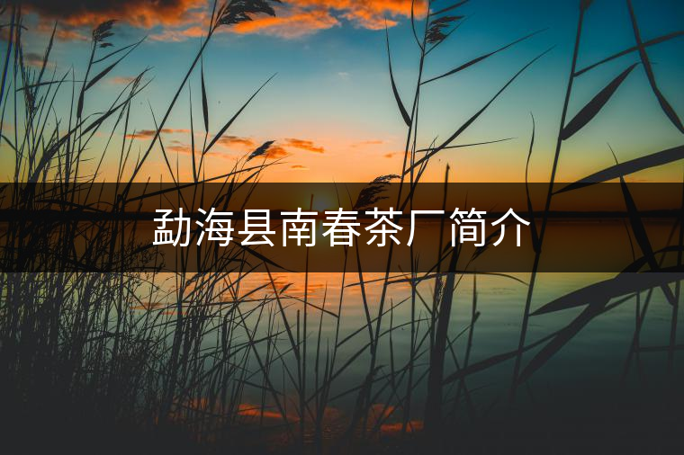 勐?？h南春茶廠簡(jiǎn)介