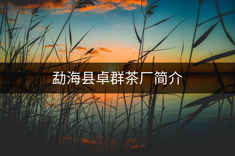 勐?？h卓群茶廠簡(jiǎn)介