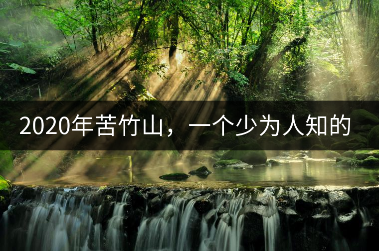 2020年苦竹山，一個少為人知的后起之秀！-易武中聘號