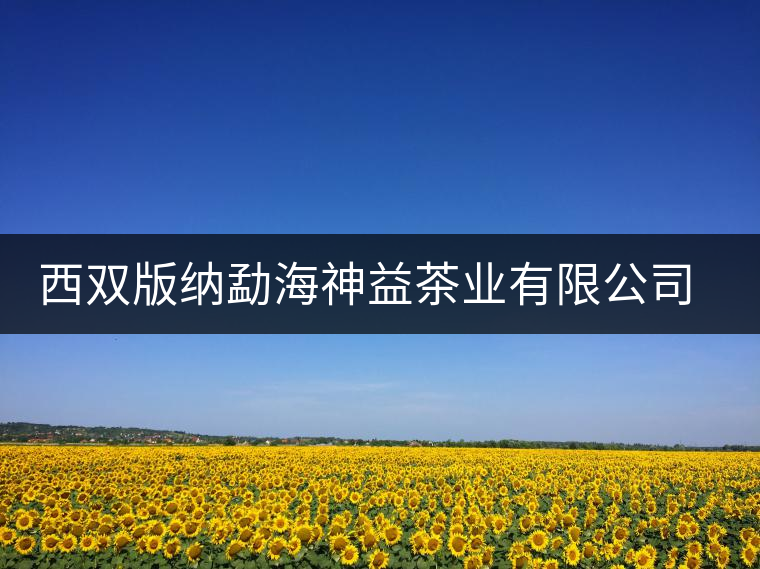 西雙版納勐海神益茶業(yè)有限公司簡(jiǎn)介 西雙版納勐海神益茶業(yè)有限公司簡(jiǎn)介