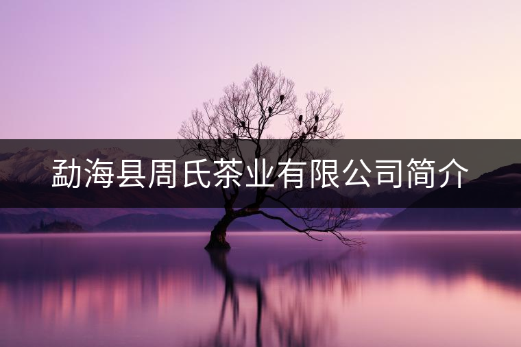 勐?？h周氏茶業(yè)有限公司簡(jiǎn)介