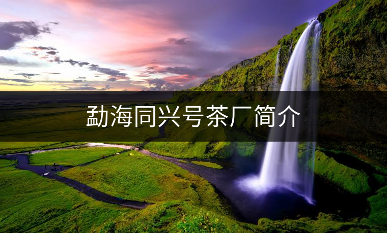 勐海同興號(hào)茶廠簡介