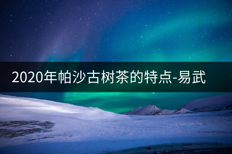 2020年帕沙古樹茶的特點-易武中聘號