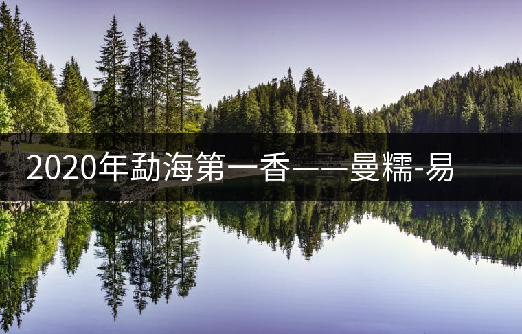 2020年勐海第一香——曼糯-易武中聘號(hào)