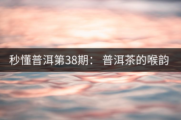 秒懂普洱第38期： 普洱茶的喉韻是什么？