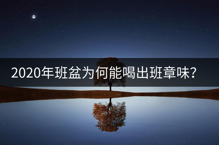 2020年班盆為何能喝出班章味？-易武中聘號(hào)